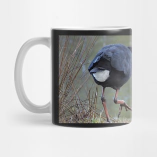 Moorhen - photography by Avril Thomas Mug